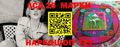 сатива Будённовск