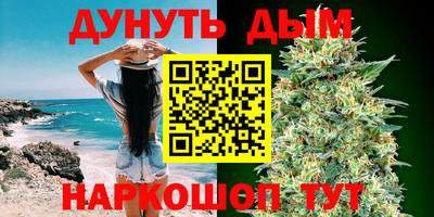 сатива Будённовск