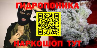 сатива Будённовск