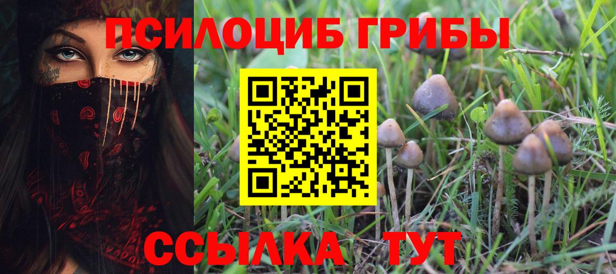 Галлюциногенные грибы GOLDEN TEACHER Сафоново