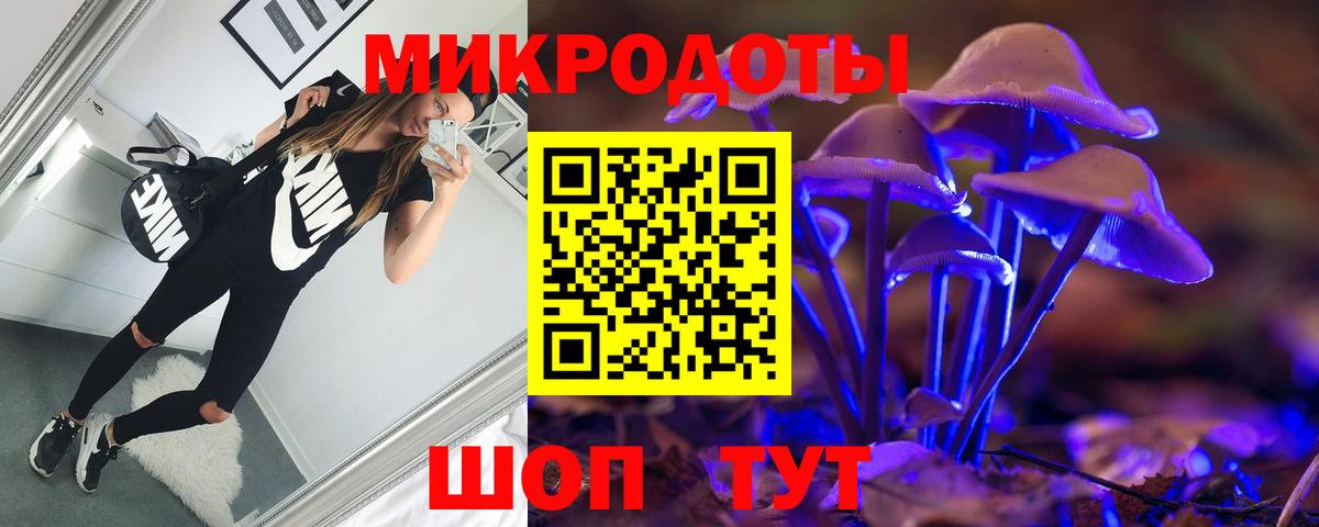 Псилоцибиновые грибы Psilocybine cubensis  Галлюциногенные грибы прущие грибы  Вход с VPN  Сафоново 